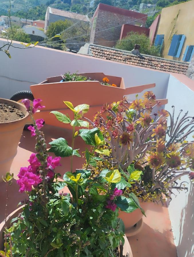 Sokratis Apartments Symi Pokoj fotografie